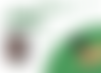 The consequences of gossip