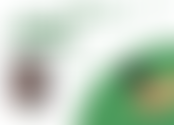 The consequences of gossip