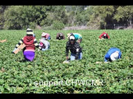 6 Things we should know about getting the flu shot during the COVID-19 Pandemic.