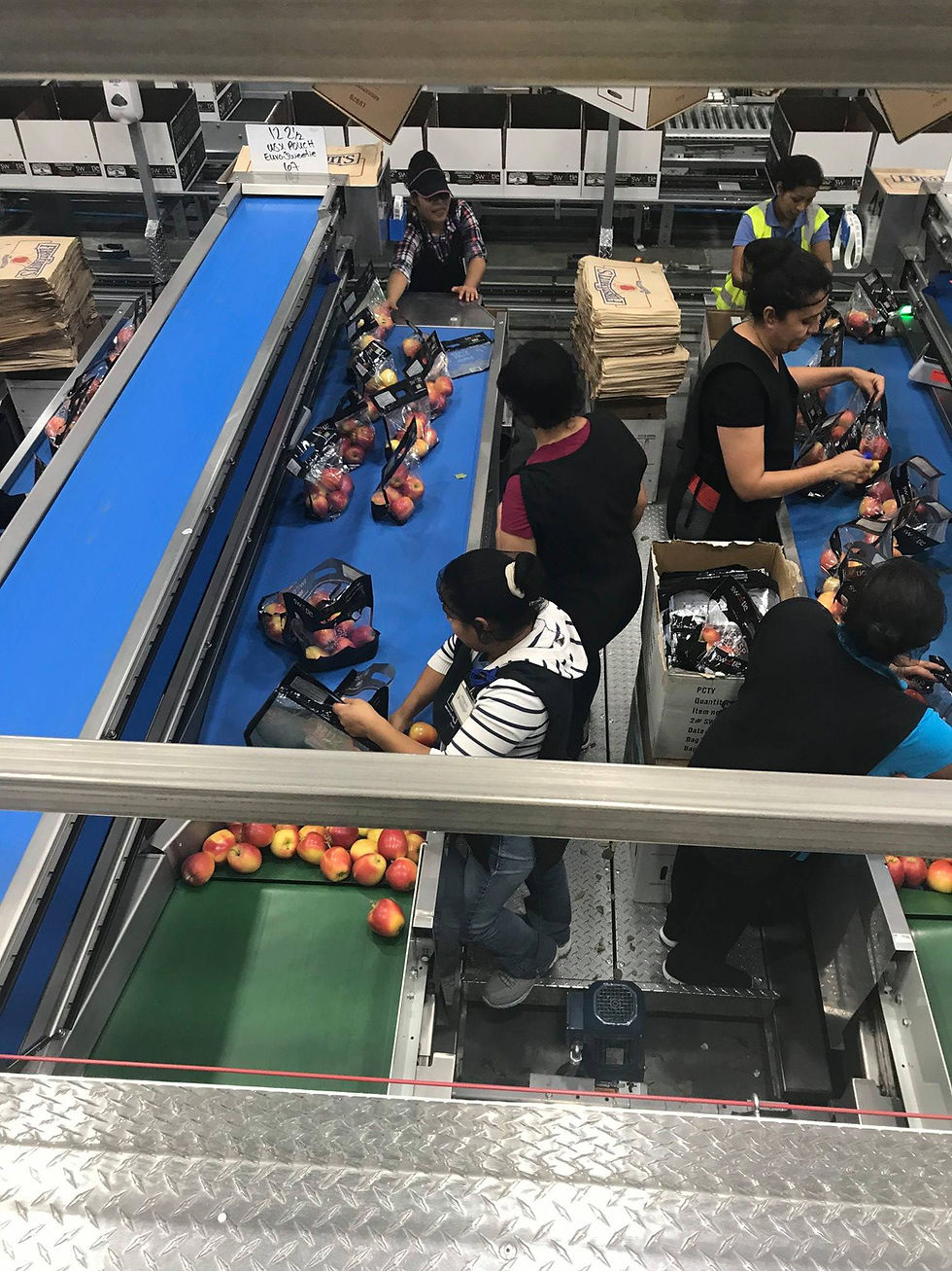 Immigrants in Washington State by Erika Armengol