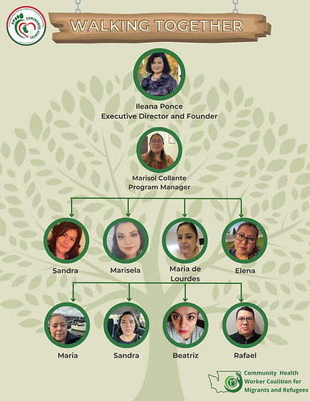 (inglés) Organigrama Caminando Juntos 2024.png