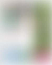 We are proud to announce our next COVID-19 Economic and Technology Scholarships in Pierce County.