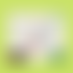 CHWCMR Training and Economic Relief for families affected by wild fire and COVID-19.