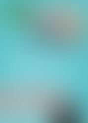 Influenza workshops by our trusted members in our communities.