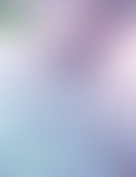 Spanish and English Workshop-Free workshop for our Community Champions: