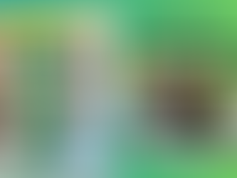 Join us for Our Radio Programs with their new schedules.