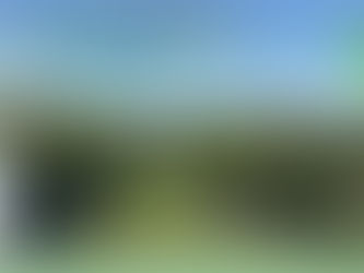 Supporting our migrant workers in their field surrounded by air pollution by Forrestal Fire in WA