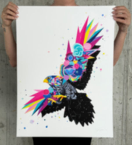 Falcon Dreaming Limited Edition Print
