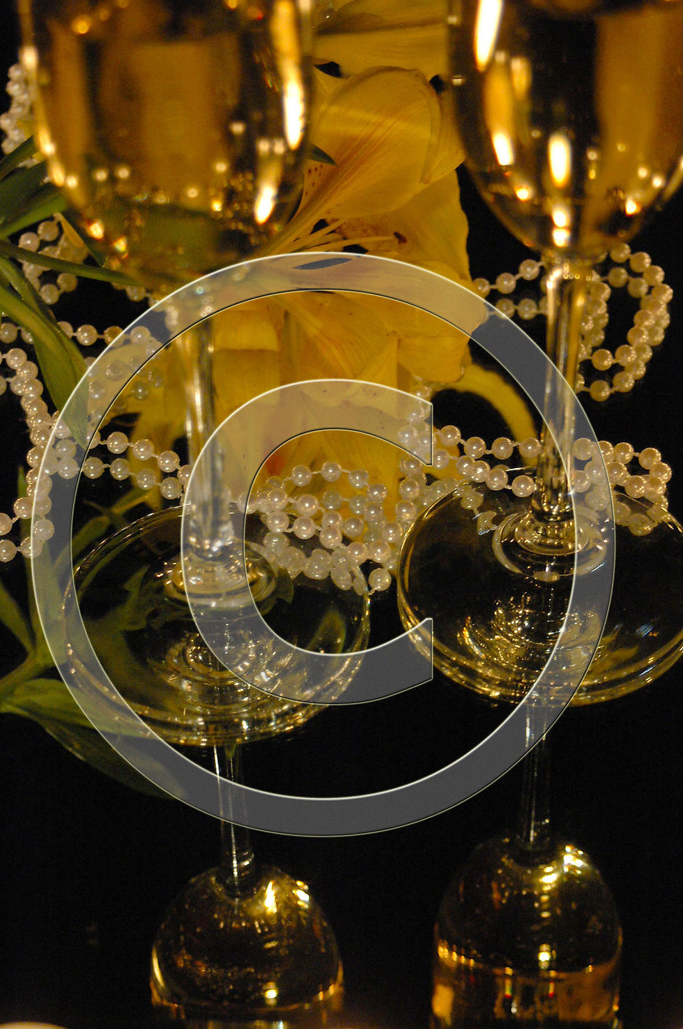 DSC_0029Show with Copyright Symbol.jpg