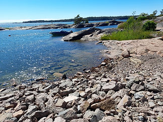 20220617_153031.jpg Kaija Launonen