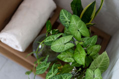 Esty Ahimeir _ Hamesila 27 _ Hadar Dolan _ Web (46 of 94).JPG