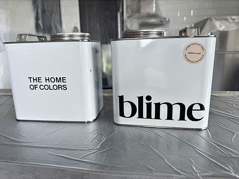 Peinture blime à vincennes_edited.jpg