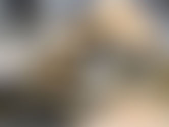 From Training Grounds to Life-Saving Work: How a Chance Partnership is Changing the Fight Against Exploitation