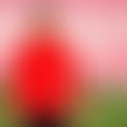 César Azpilicueta, l’équation urgente du Sevilla FC