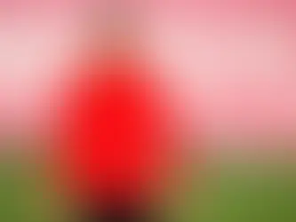 César Azpilicueta, l’équation urgente du Sevilla FC