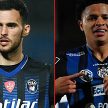 Marin, Mercado