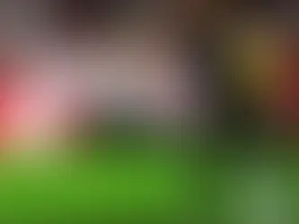 Matías Almeyda Girona FC