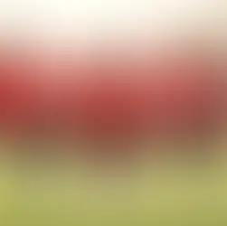 Idumbo Januzaj