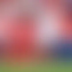 Januzaj Sevilla FC
