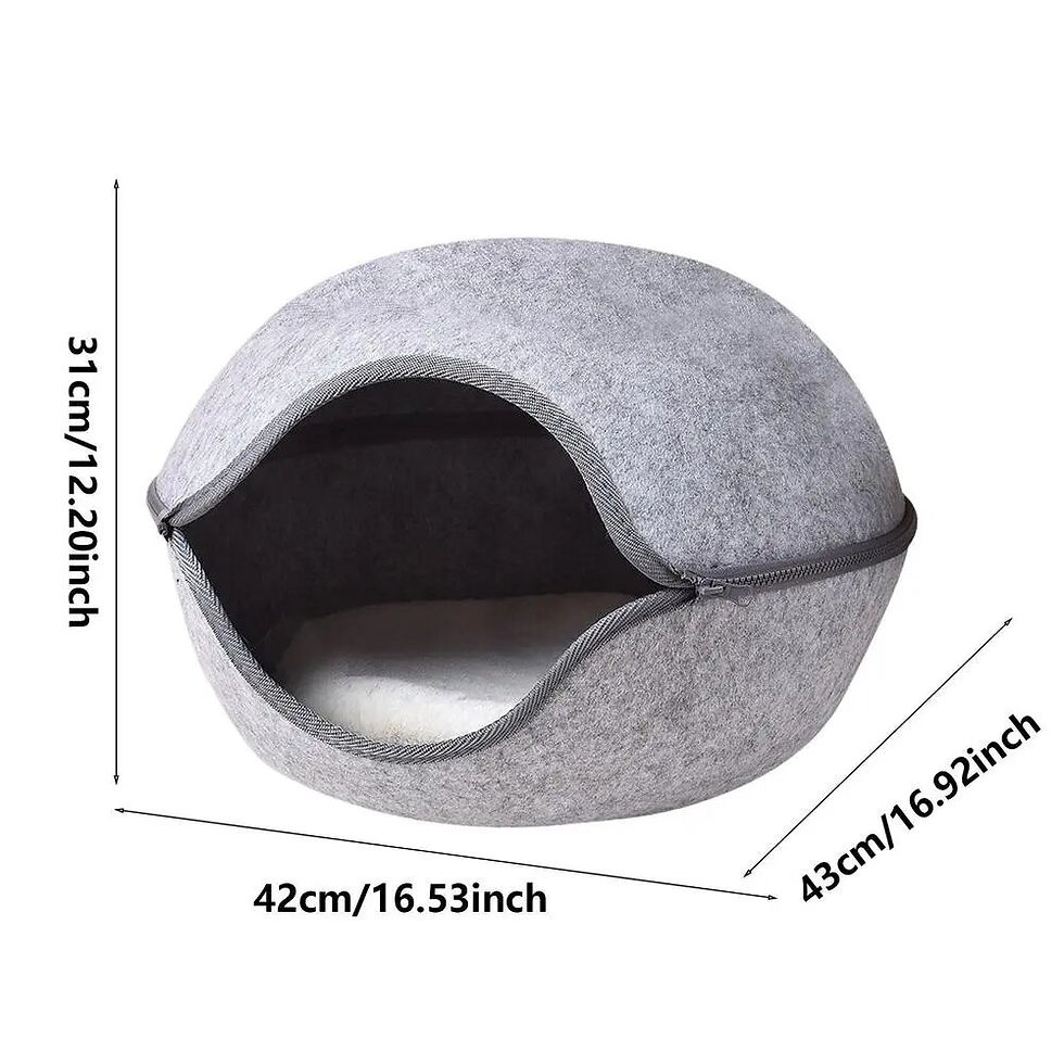 Cat Tunnel Beds Interactive Play Toy Bed Unique Doughnut Design Small