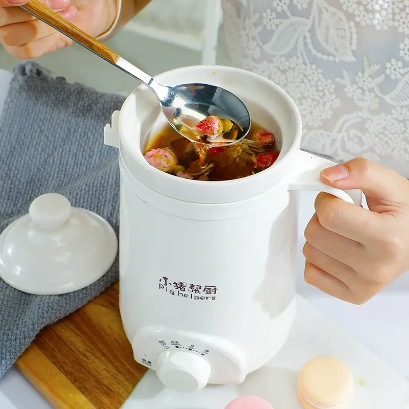 110V Voltage Health Bottle Office Electric Heating Stew Pot Cook Congee Cup Dorm