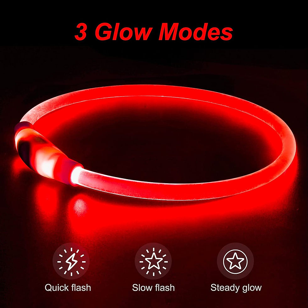 Thumbnail: Dog collar led light USB rechargeable pet dog collar night light-up 
