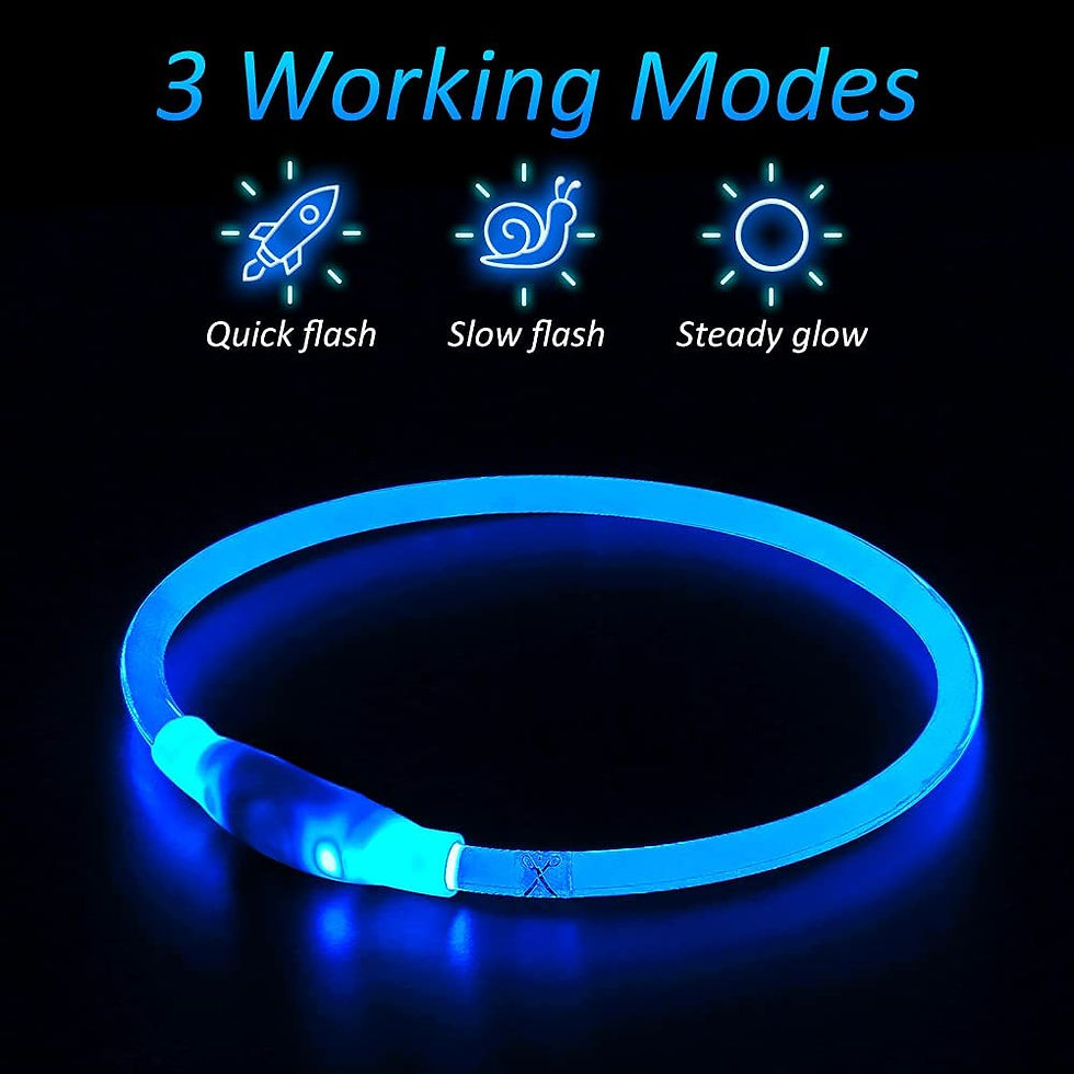 Thumbnail: Dog collar led light USB rechargeable pet dog collar night light-up 