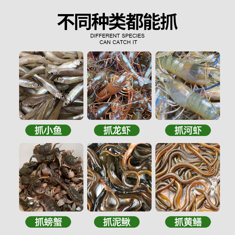 Thumbnail: Net Cage Eel Cage folding Crayfish Catch Loach Net Crab Crayfish Eel Trap 
