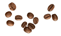 beans_edited.png