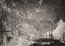 IMG_3687-QuintaBV_15x21_IR_800p