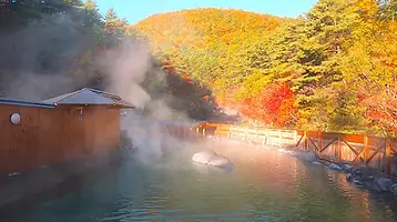 GU006302.webp