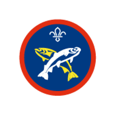 Activity-Badges-Sc-Angler-RGB.png