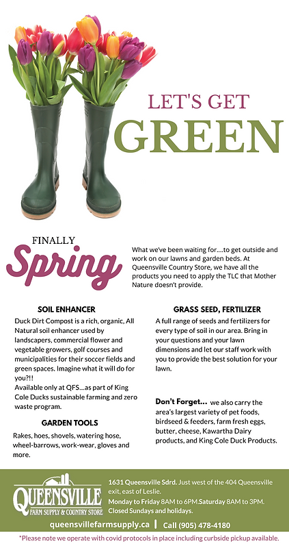 Newsletter Lets Go Green (1).png