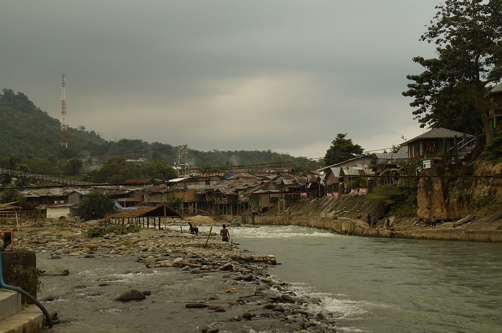 Bukit Lawang