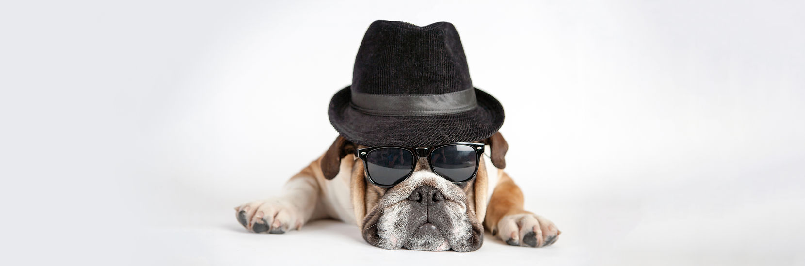 3024_George_CMYK copy.jpg