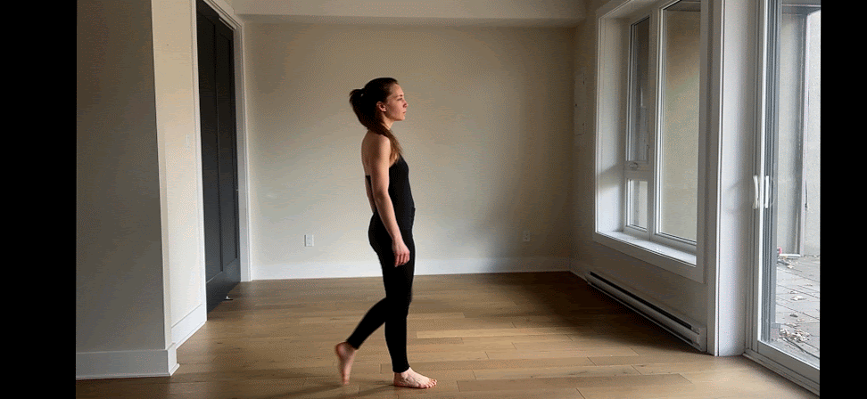 IMG_4464-ANIMATION.gif