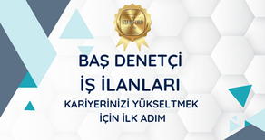 Baş Denetçi iş ilanları