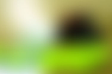 İSG Sertifikası | BULUT AKADEMi