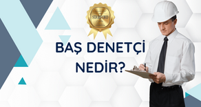 Baş Denetçi Nedir?