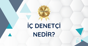 İç Denetçi Nedir?