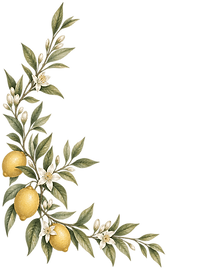 ramo-limoni-fiori-decorativo-sinistra-manicaretto.png