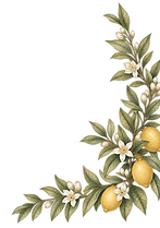 ramo-limoni-fiori-decorativo-destra-manicaretto.png