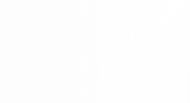 overlay-bianco-trasparente-manicaretto_light.png