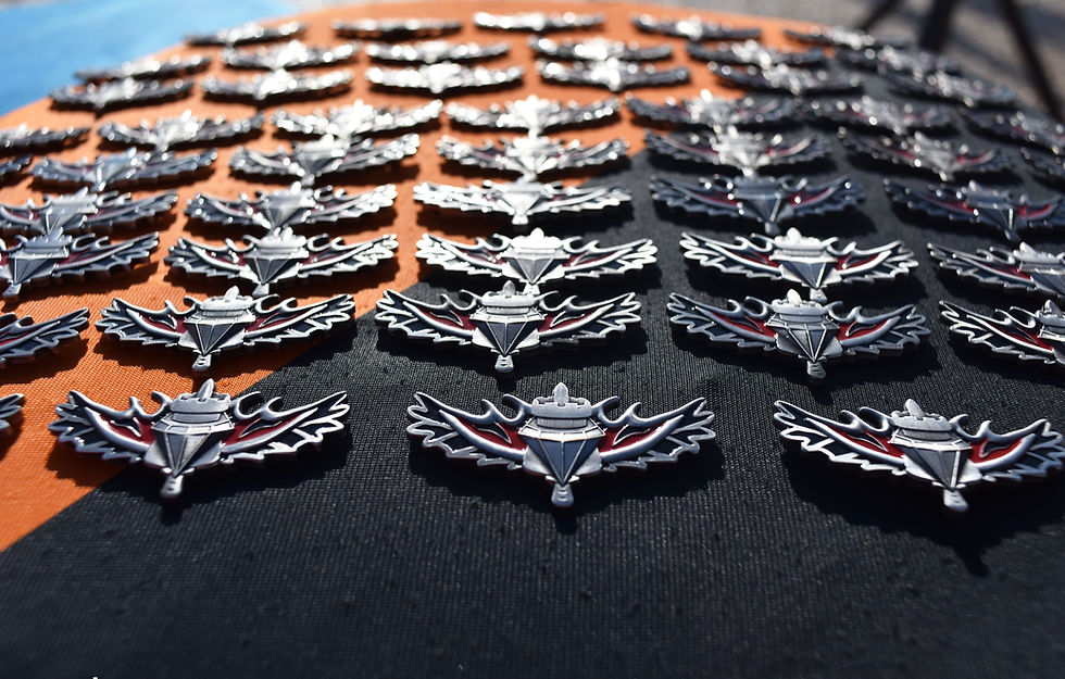 עותק של סיכות היחידה מסודרות בטקס סוף מסלול.jpg