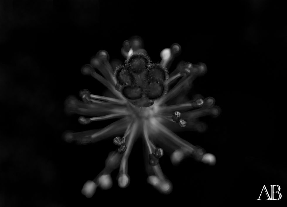 Pistil