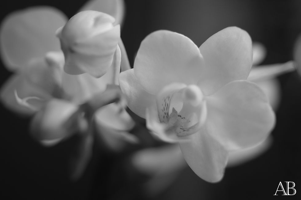Fleur