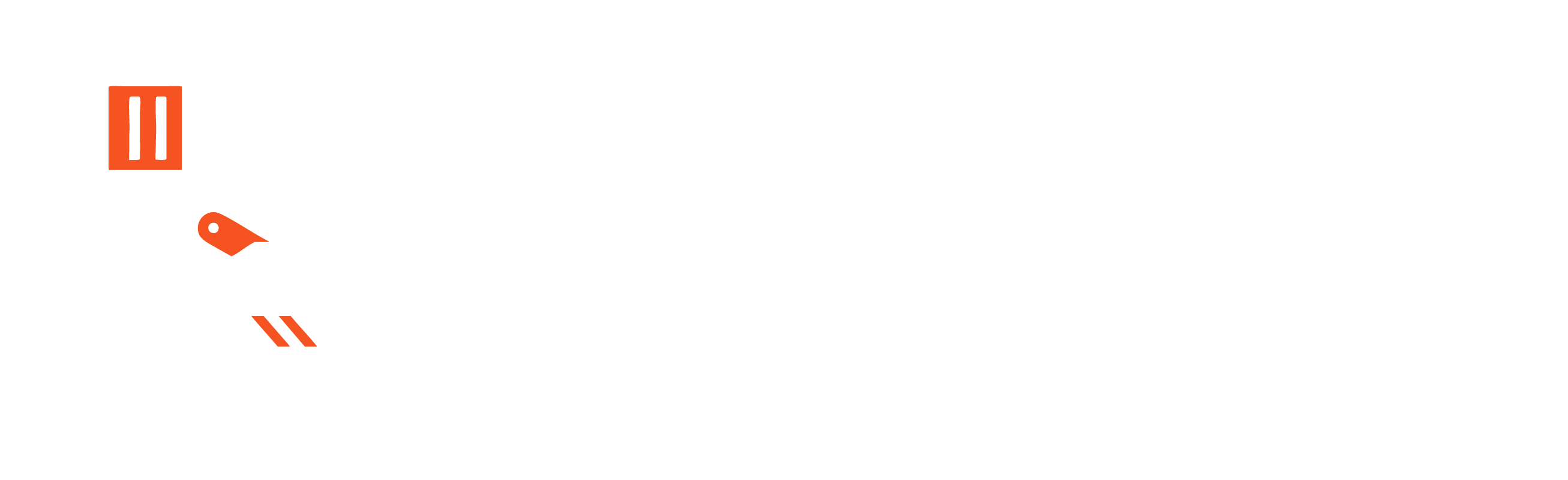 Surefire Logo all white.png