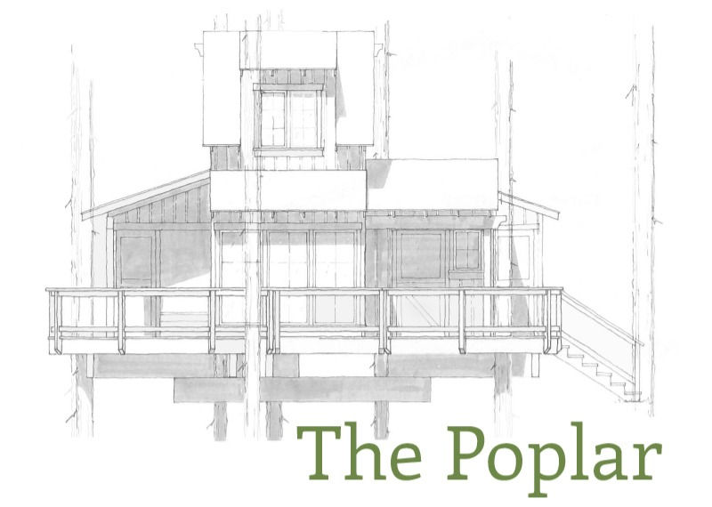 201904_Treehouse_Poplar_edited.jpg