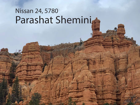 AUDIO ESSAY: Torah for the Earth - Shemini