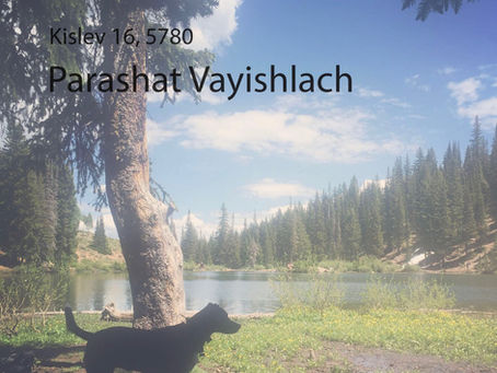 AUDIO ESSAY: Torah for the Earth - Vayishlach